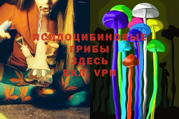 ГАЛЛЮЦИНОГЕННЫЕ ГРИБЫ Абдулино