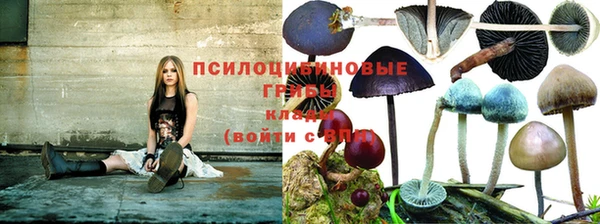 дживик Абаза