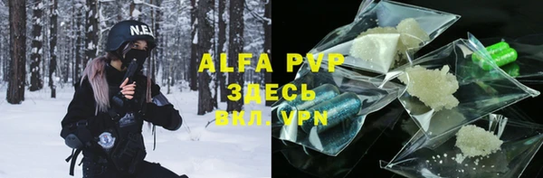 дживик Абаза