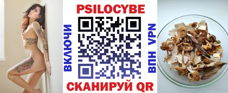 Псилоцибиновые грибы Psilocybine cubensis  Алатырь 